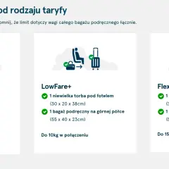 Norwegia: Bagaż podręczny bez stresu? Sprawdź limity i zasady!