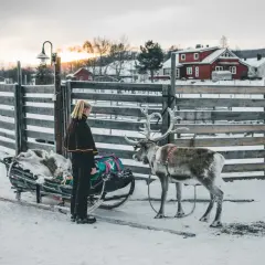 Norwegia zimą - Jak zaplanować idealny wyjazd?