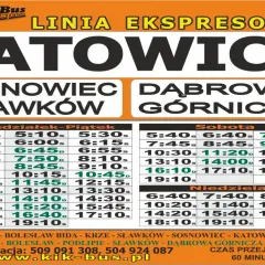 Rozkład jazdy Kik-Bus Katowice-Olkusz. Sprawdź cennik i godziny odjazdów na trasie Katowice-Sosnowiec-Dąbrowa Górnicza.