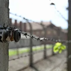 Izolator na słupku z drutem kolczastym, symbol przeszłości Krakowa i Oświęcimia.