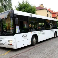 Pszczółki autobus: Gdzie wysiąść, dokąd dojedziesz? Pełny przewodnik
