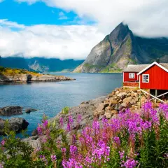 Czerwone domki nad fiordem, góry i most. Idealny czas na podróż do Norwegii to lato, gdy kwitną wrzosy.