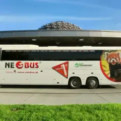 Biały autokar Neobus z wizerunkiem pandy małej. Sprawdź atrakcyjne neobus ceny biletów na www.neobus.pl.