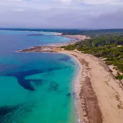 Turkusowe wody i piaszczysta plaża Es Trenc na Majorce, otoczone zielonymi sosnami.