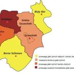 Jaki powiat ma Szczecin? Poznaj status miasta na prawach powiatu