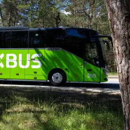 Zielony autobus FlixBus jedzie drogą przez las. Może to być trasa Skarżysko-Kielce.