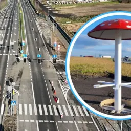 Grzybek jak z bajki przy drodze w Nysie. Obok ruchliwa trasa, a w oddali pola i zabudowania.
