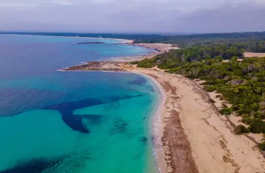 Turkusowe wody i piaszczysta plaża Es Trenc na Majorce, otoczone zielonymi sosnami.