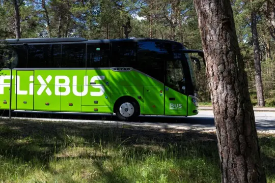 Zielony autobus FlixBus jedzie drogą przez las. Może to być trasa Skarżysko-Kielce.