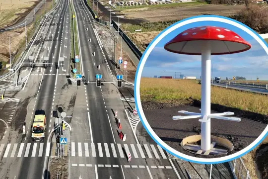 Grzybek jak z bajki przy drodze w Nysie. Obok ruchliwa trasa, a w oddali pola i zabudowania.