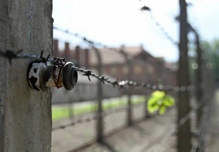 Izolator na słupku z drutem kolczastym, symbol przeszłości Krakowa i Oświęcimia.