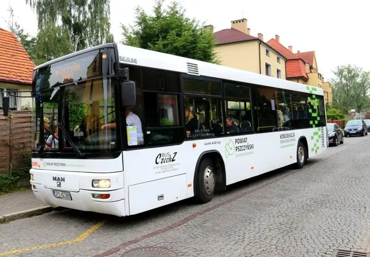 Pszczółki autobus: Gdzie wysiąść, dokąd dojedziesz? Pełny przewodnik