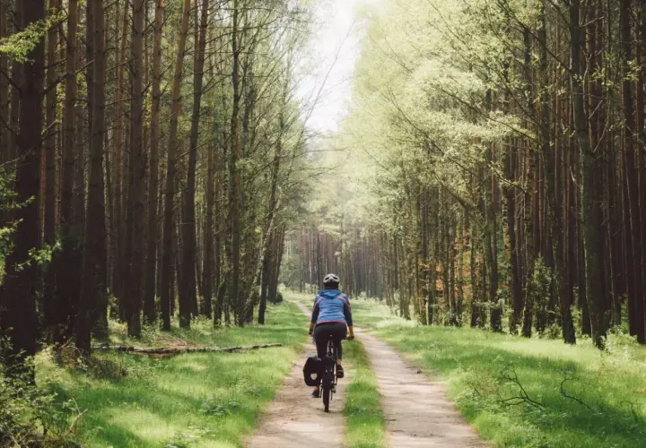 Rowerzystka przemierza leśną ścieżkę w Wielkopolsce, niedaleko Poznania. Słońce przebija się przez drzewa, tworząc magiczny klimat.