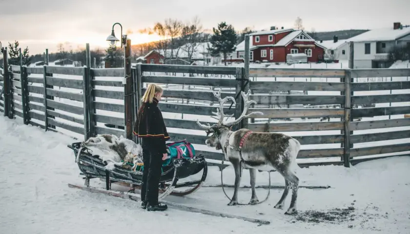 Norwegia zimą - Jak zaplanować idealny wyjazd?