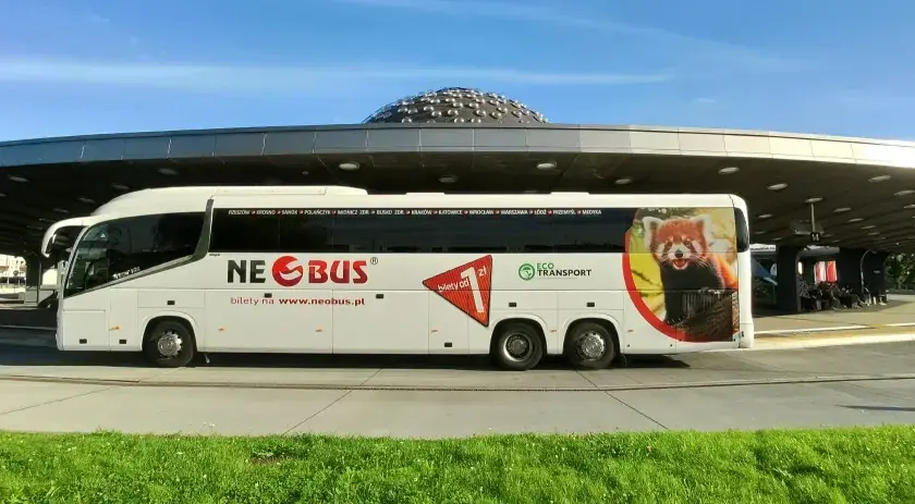 Biały autokar Neobus z wizerunkiem pandy małej. Sprawdź atrakcyjne neobus ceny biletów na www.neobus.pl.