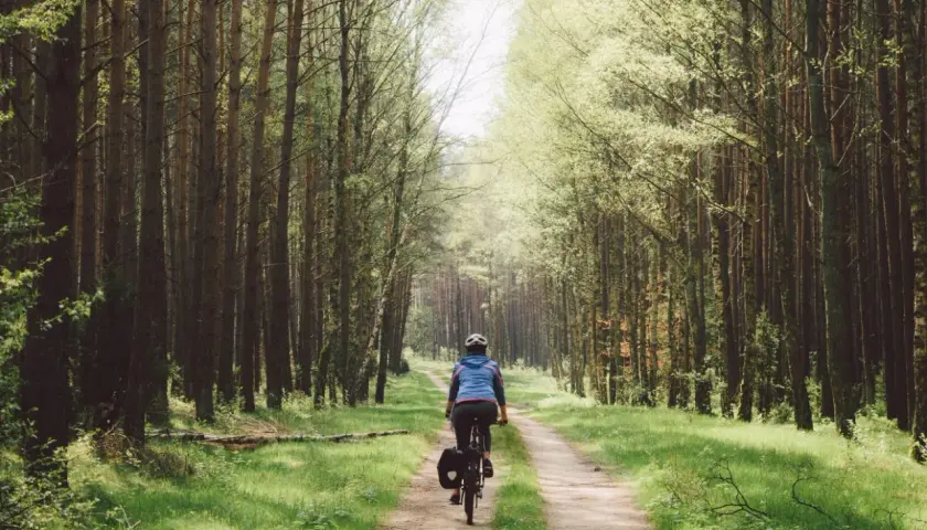 Rowerzystka przemierza leśną ścieżkę w Wielkopolsce, niedaleko Poznania. Słońce przebija się przez drzewa, tworząc magiczny klimat.