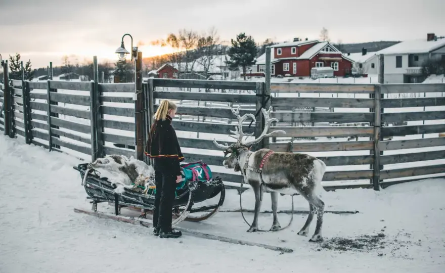 Norwegia zimą - Jak zaplanować idealny wyjazd?
