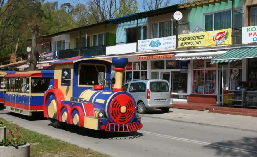 Linia 870 - Ile kosztuje bilet do Krynicy Morskiej? Cennik i zasady