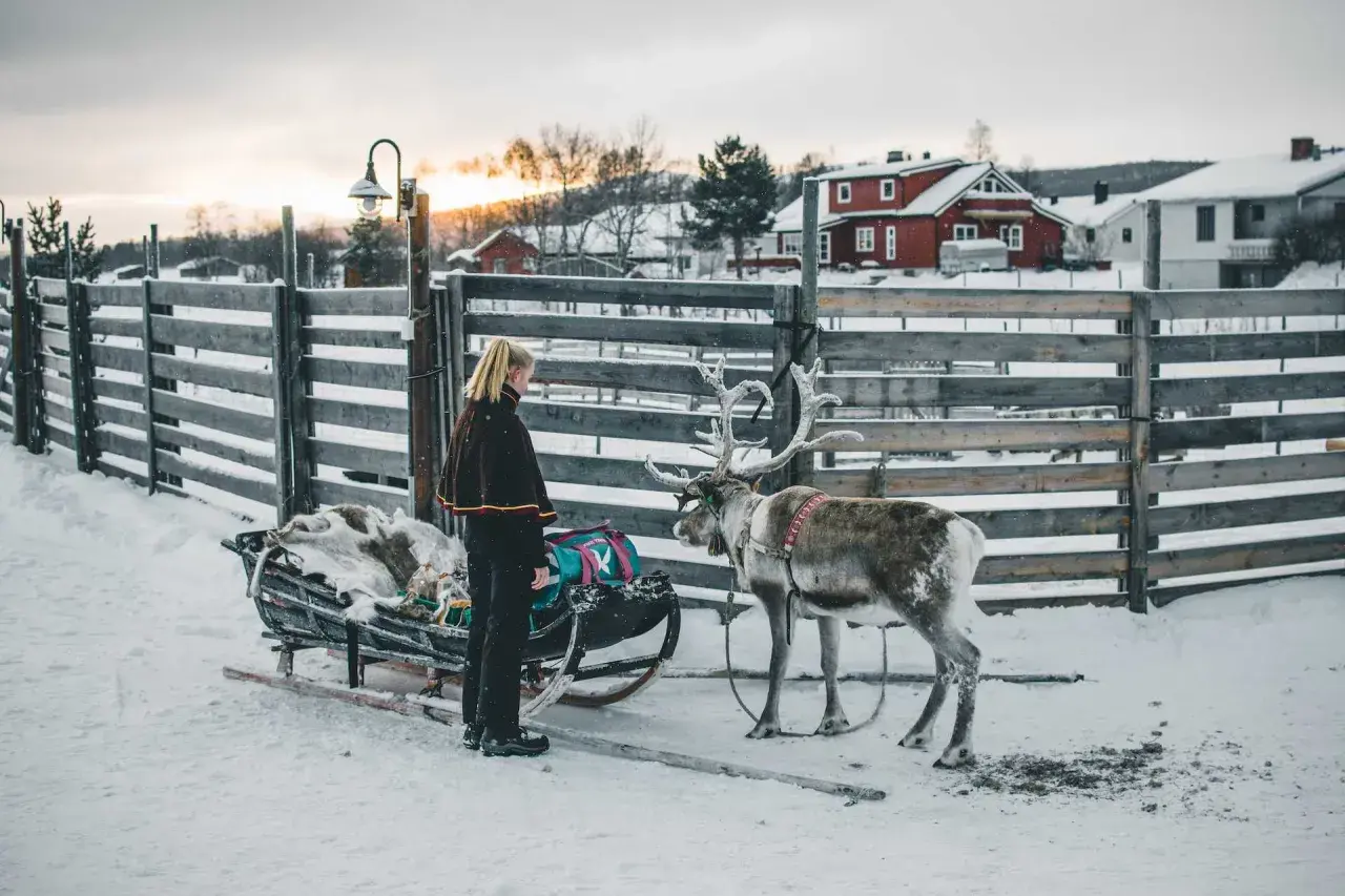 Norwegia zimą - Jak zaplanować idealny wyjazd?