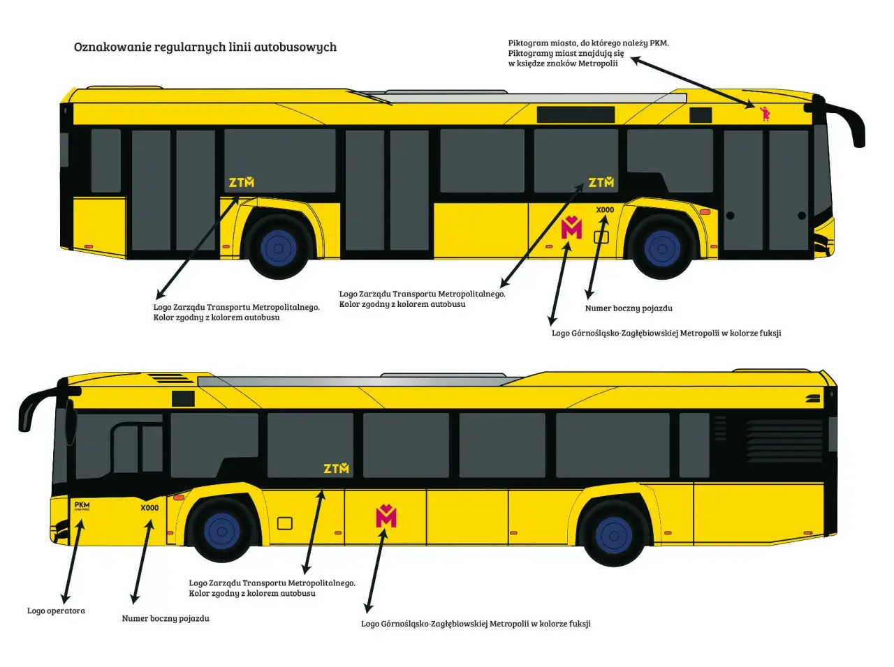 Żółty autobus z oznaczeniami: ZTM, logo operatora, logo Metropolii i numer boczny pojazdu.