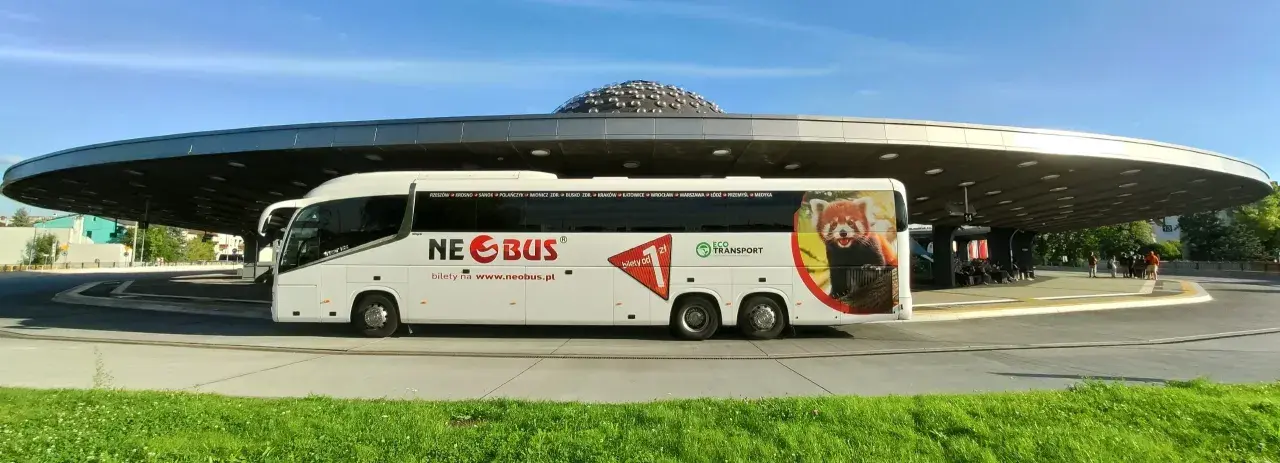 Biały autokar Neobus z wizerunkiem pandy małej. Sprawdź atrakcyjne neobus ceny biletów na www.neobus.pl.