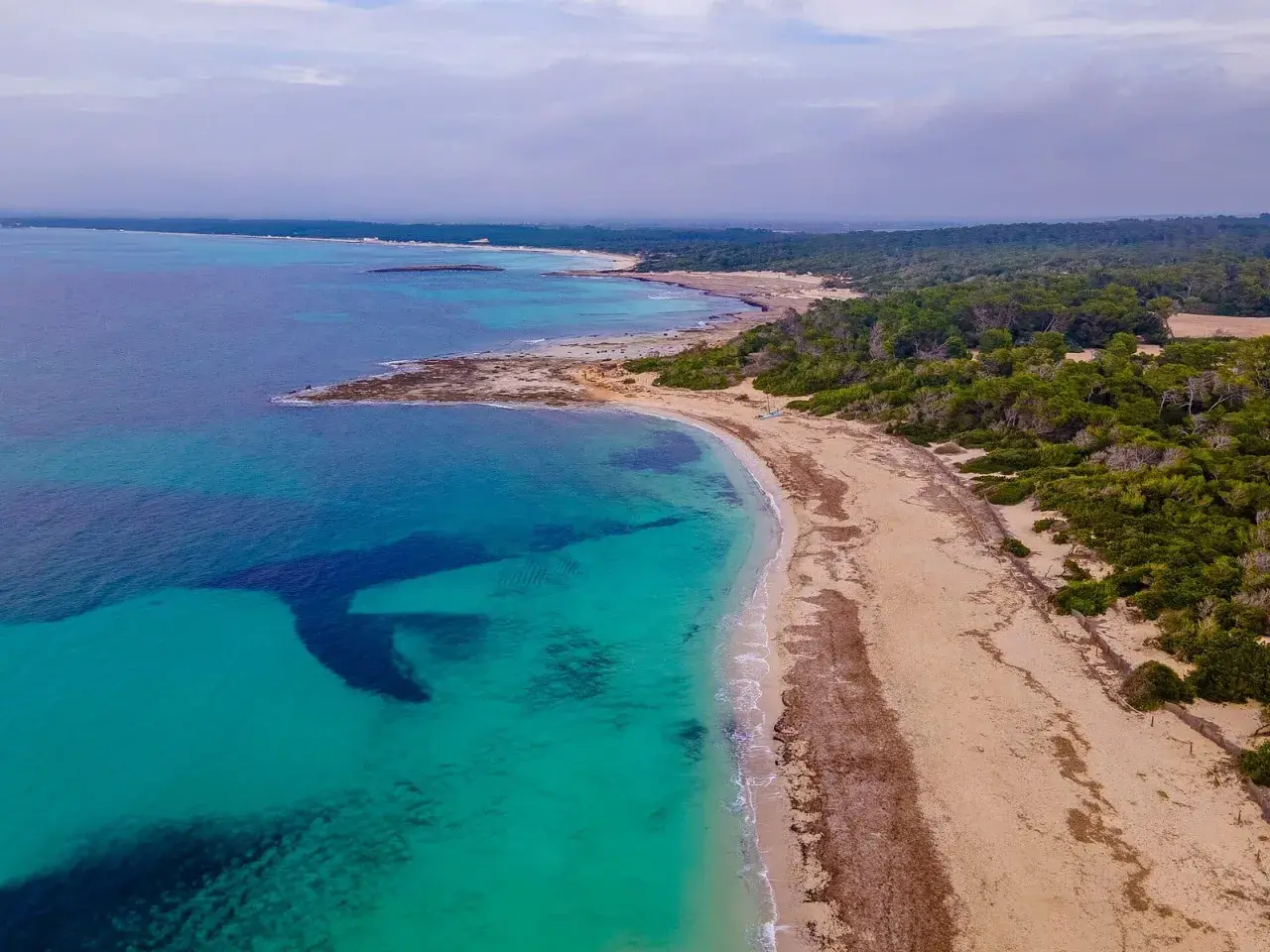 Turkusowe wody i piaszczysta plaża Es Trenc na Majorce, otoczone zielonymi sosnami.
